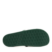 VARIANT:DARK GREEN