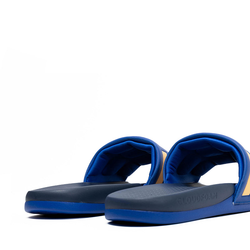 VARIANT:BOLD BLUE