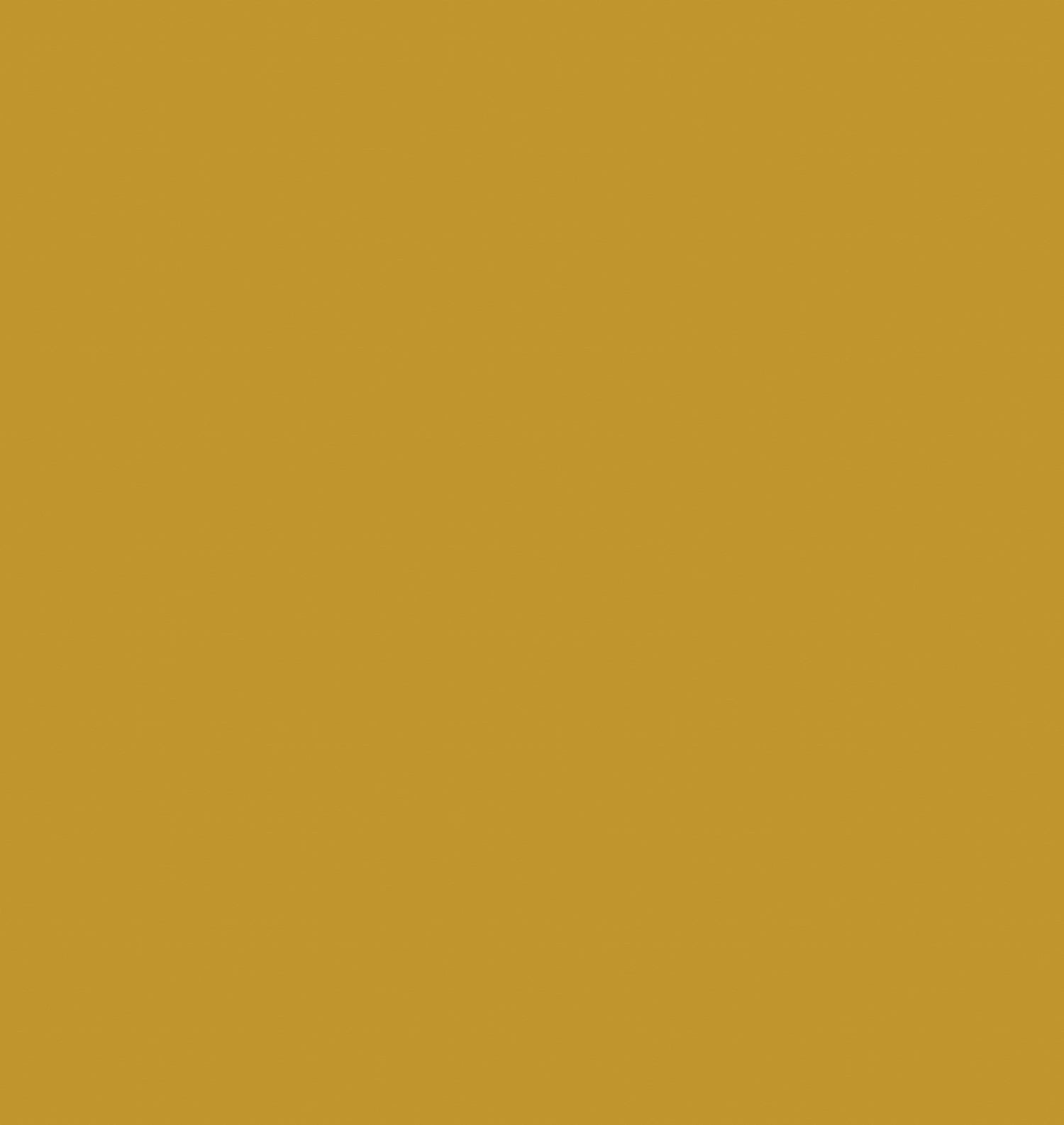 BG.webp