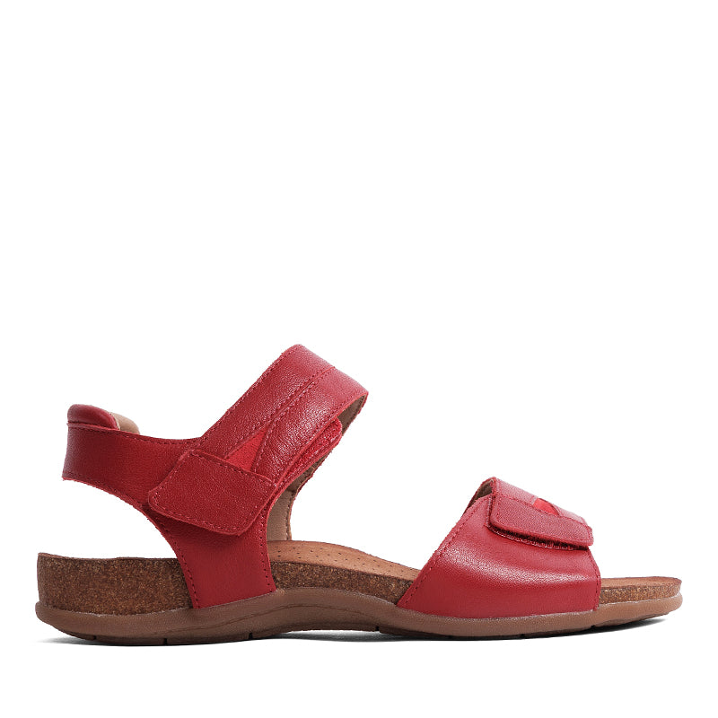 JOSEF SEIBEL-DEBBIE 01 - available at RUBINO  