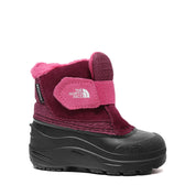THE NORTH FACE-TODDLER ALPENGLOW II - available at RUBINO  