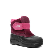 THE NORTH FACE-TODDLER ALPENGLOW II - available at RUBINO  
