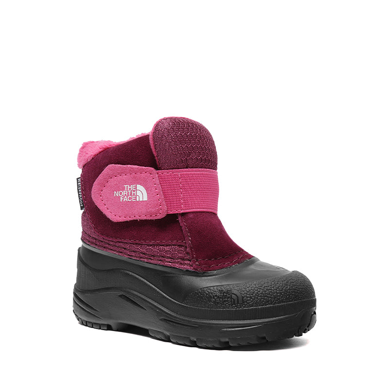 THE NORTH FACE-TODDLER ALPENGLOW II - available at RUBINO  