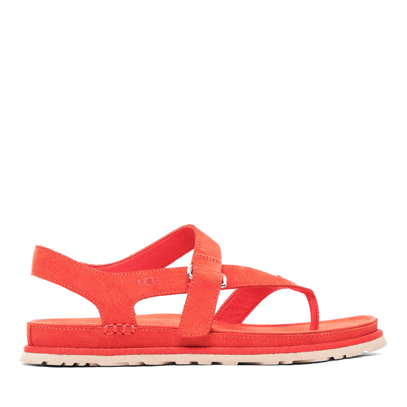 UGG-GOLDENGAZE TOE POST - available at RUBINO  