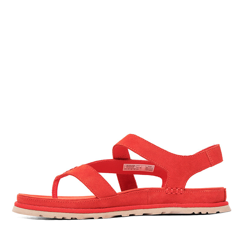 UGG-GOLDENGAZE TOE POST - available at RUBINO  